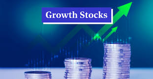 best growth stocks to in india 2024
