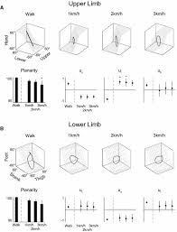 Lower Limb Elevation Angles