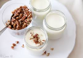 homemade yogurt with dairy free option
