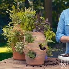 Grow Herbs In A Strawberry Planter