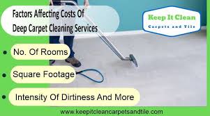 best pet odor stain removal service