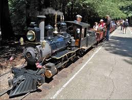 dog friendly redwood valley railroad in