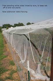 Bird Netting Pictures And Ideas For