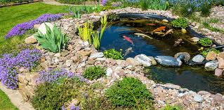 water features for a peaceful backyard