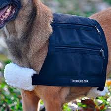 The Complete Guide To Choosing A Dog Weight Vest