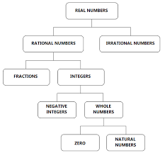 Real Numbers Natural Numbers Whole Numbers And Integers