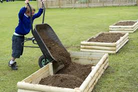 creating raised beds rhs campaign for