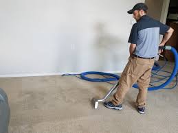 bob s quality carpet cleaning reviews