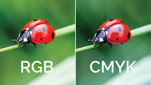 O que é RGB e CMYK na fotografia? | Blog eMania