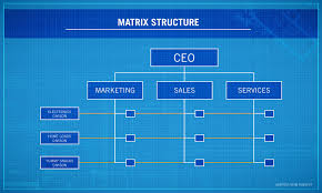 Company Organizational Structure Online Charts Collection