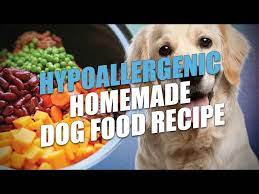 hypoallergenic homemade dog food recipe