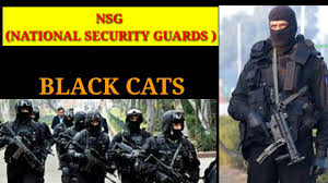 Image result for indian special forces black cats