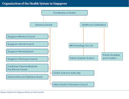 Singapore International Health Care System Profiles
