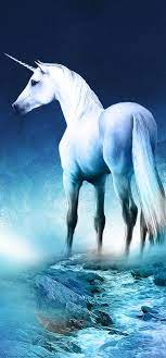 1080x2310 Unicorn Horse Full Moon ...