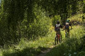 How to ride a bike in animal crossing new horizons. The Great Mountain Bike Crossing 223km In The Heart Of The Pyrenees In Ariege