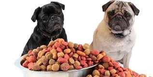 What Do Pugs Like To Eat And The Best Types Of Food