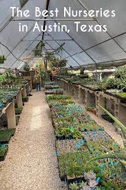 Austin Nurseries Garden Centers