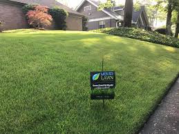 Grow a healthy lawn, guaranteed. Zoysia Lawn Weed Control Fertilizer Service In Macon Warner Robins