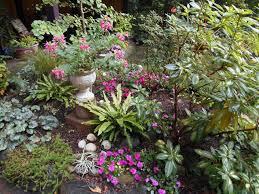 A Lively Colorful Shade Garden In The