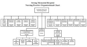 Hospital Organizational Chart Quality Sample Resume For
