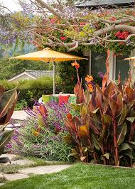 Tropical Garden Design Ideas
