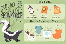 how to remove skunk smell home