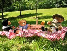 teddy bears picnic the history and s