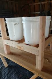 We did not find results for: Diy 5 Gallon Bucket Planter Boxes An Incredible New Way To Grow