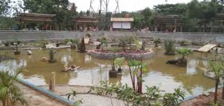 Waterbom bali ialah sebuah arena wisata air yang berlokasi di pantai kuta. Taman Wisata Kura Kura Mulai Banyak Diminati Pengunjung