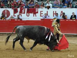 El encierro de la ganadería De Haro se lidiará en 505 kg. promedio |  Monumental Plaza México