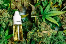 The recent legalization of cannabis products and advancement in the research on in this process, the olive oil does not separate from the cbd extract. Differences In Full Spectrum Oil Cbd Oil And E Liquids Sensi Seeds