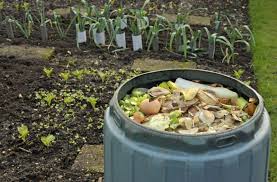 How To Set Up A Compost Bin