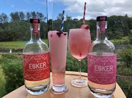 How To Drink Flavoured Vodkas Esker