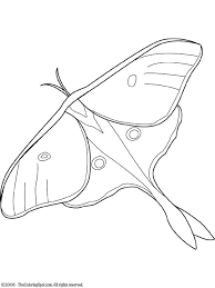 This allows you to remove each coloring page for framing or hanging. Luna Moth Coloring Page Audio Stories For Kids Free Coloring Pages Colouring Printables