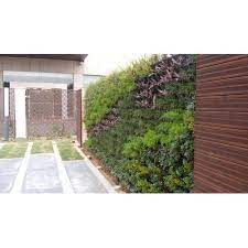 vertical plants outdoor wall garden at