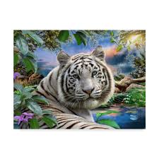 Some of the names that you can use are : Trademark Art The White Tiger Acrylic Painting Print On Wrapped Canvas Reviews Wayfair