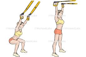 TRX Suspension Straps Overhead Squats – WorkoutLabs Exercise Guide