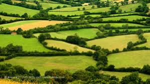 A certification label for the sustainable management of hedgerows | The  European Network for Rural Development (ENRD)