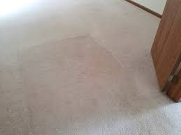 carpet cleaning aurora il royal treatment