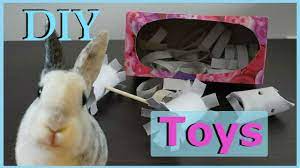 These are just some of the things you can make out of recycled toilet roll tubes to keep your small pet happy and your wallet full! Diy Rabbit Toys Using Toilet Paper Rolls Youtube