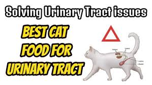 Best wet cat food for wag wet cat food is an excellent choice of wet food for cat parents who want to give their cats who are prone to frequent urinary tract infections or urinary crystals might also benefit from. Top 5 Best Cat Food For Urinary Tract Crystals 2021