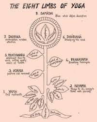 patanjali s yoga sutras the 8 limbs of