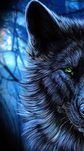 dark wolf hd wallpapers pxfuel