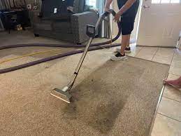 carpet cleaning abilene tx bulldog