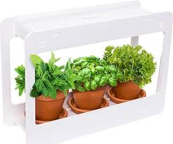 Indoor Herb Vegetable Plant Garden Kit