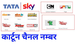 cartoon channel number in tata sky