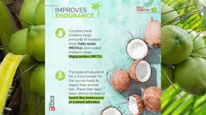 world coconut day a look at some