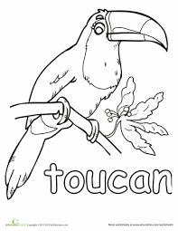Toucan coloring page toucan coloring pages download and print toucan. Toucan Worksheet Education Com Zoo Coloring Pages Coloring Pages Rainforest Animals