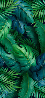 tropical aesthetic green leaves hd