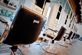 posh salon hair stylist located in mt